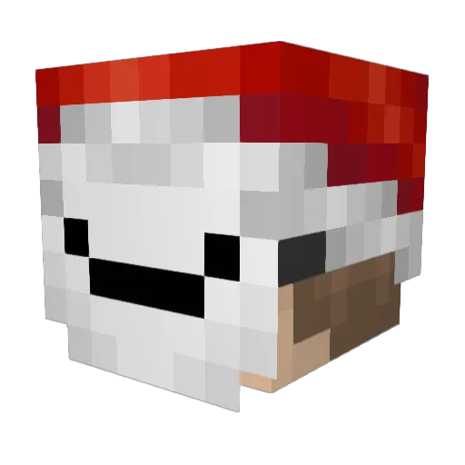 Sufiicate Minecraft avatar head, 3D render