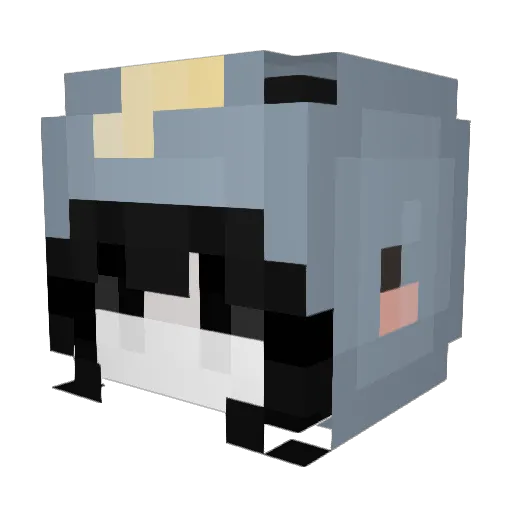 SufjanStevensFan Minecraft avatar head, 3D render