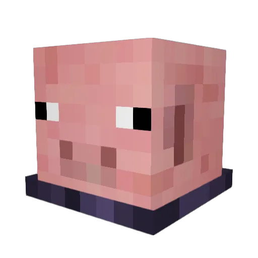 SufjanStorm Minecraft avatar head, 3D render