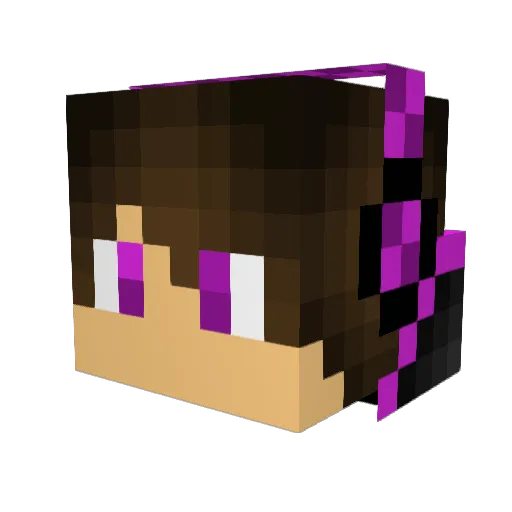 SugaCaneStop Minecraft avatar head, 3D render
