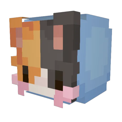SugarBlast_ Minecraft avatar head, 3D render