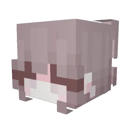 SugarCatz Minecraft avatar head, 3D render