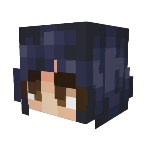 SugarDumpling Minecraft avatar head, 3D render