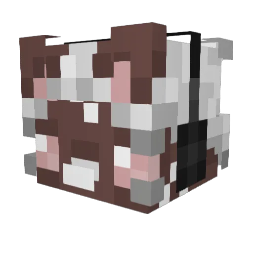 SugarKitty227 Minecraft avatar head, 3D render