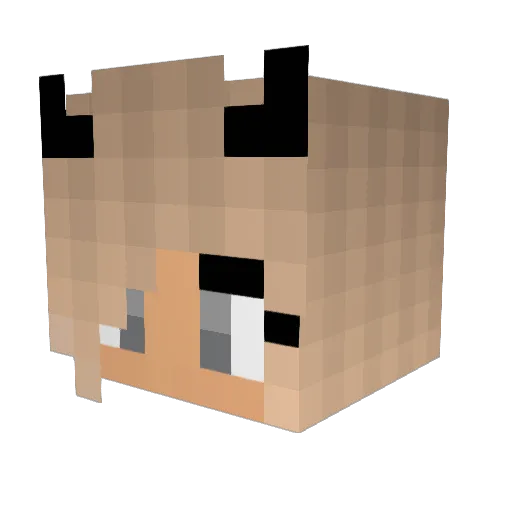 Sugar_Gliders Minecraft avatar head, 3D render