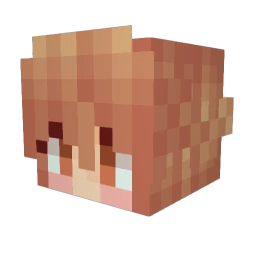 Sugar_ale Minecraft avatar head, 3D render