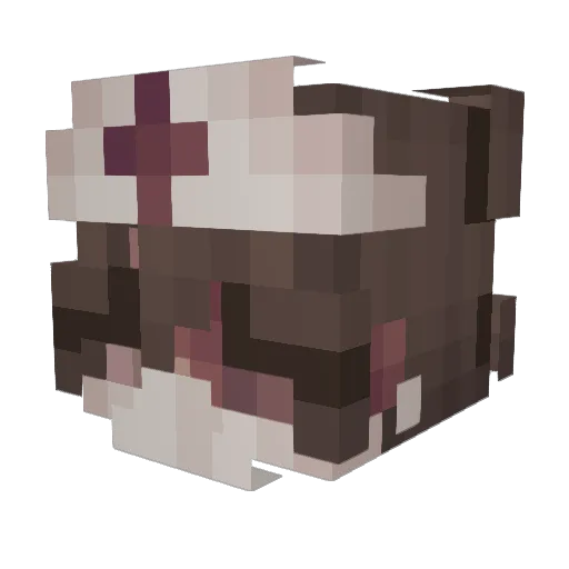 Sugar_o3o Minecraft avatar head, 3D render