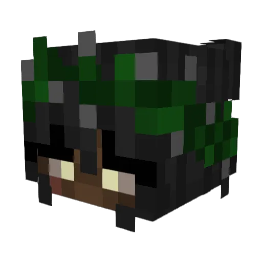 Sugarcube555 Minecraft avatar head, 3D render