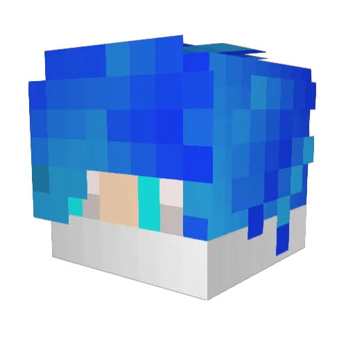 Sugarfree1 Minecraft avatar head, 3D render