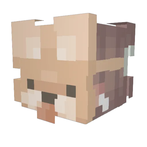 Sugarlumps124 Minecraft avatar head, 3D render