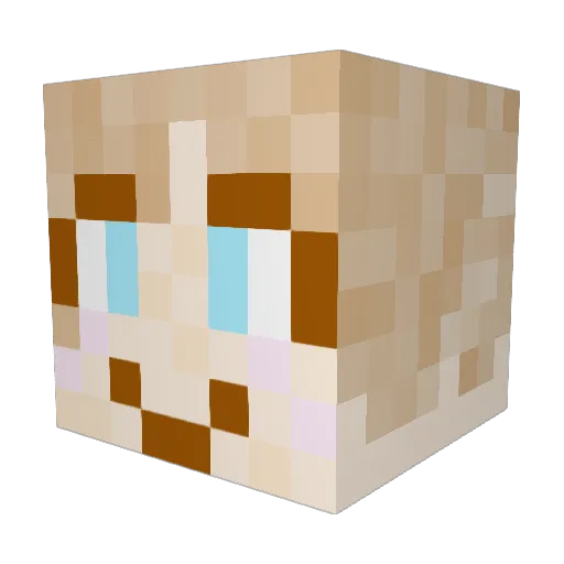 Sugarplum1311 Minecraft avatar head, 3D render