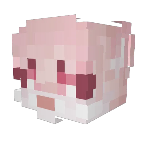 SugarrPaws Minecraft avatar head, 3D render
