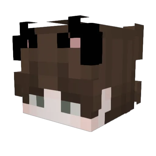 SugaryBug Minecraft avatar head, 3D render
