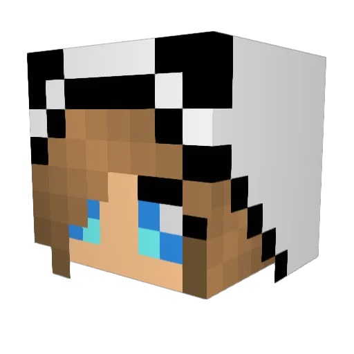SugerSweetPup5 Minecraft avatar head, 3D render