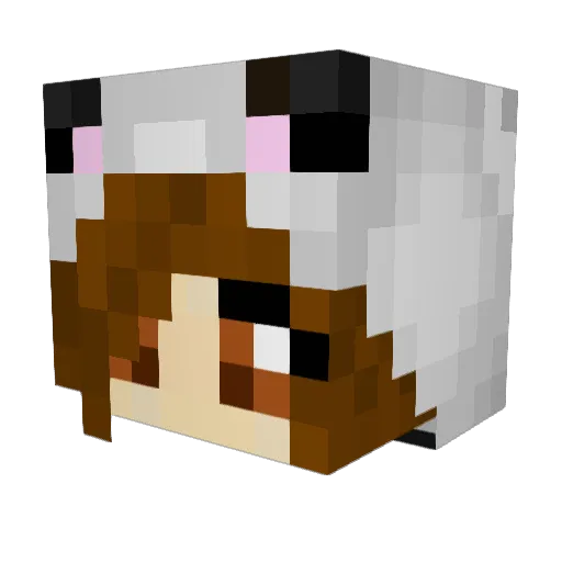 Sugglett Minecraft avatar head, 3D render