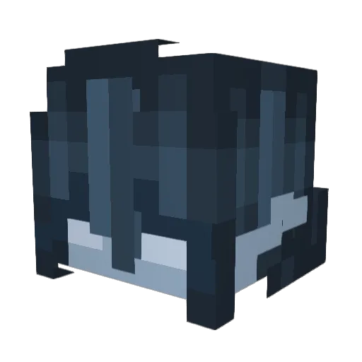 Sugui_ Minecraft avatar head, 3D render