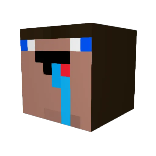 Suh9043 Minecraft avatar head, 3D render