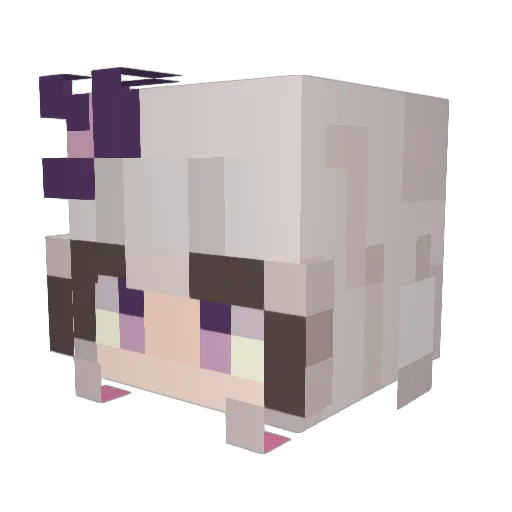 Suhalle Minecraft avatar head, 3D render