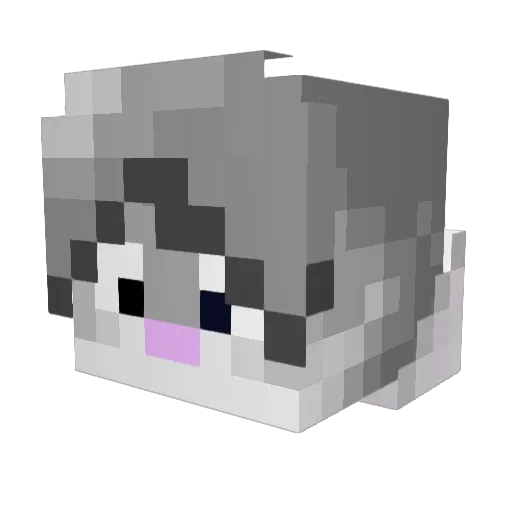 Suhopoljac Minecraft avatar head, 3D render