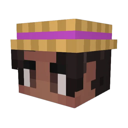 Suhwyer Minecraft avatar head, 3D render