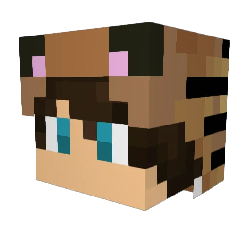 SuicidalAngel Minecraft avatar head, 3D render