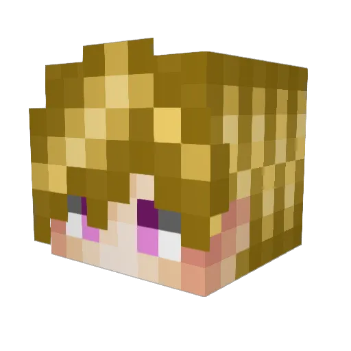 SuicideQstn Minecraft avatar head, 3D render