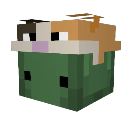 SuikaNek0 Minecraft avatar head, 3D render