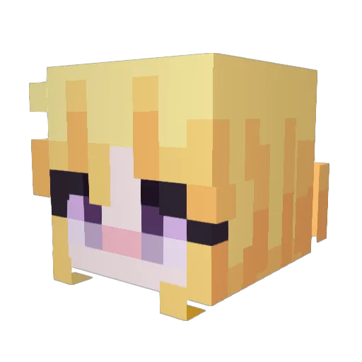 Suilleabhain Minecraft avatar head, 3D render