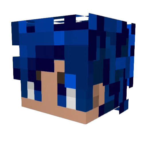 Suiray_EMP Minecraft avatar head, 3D render