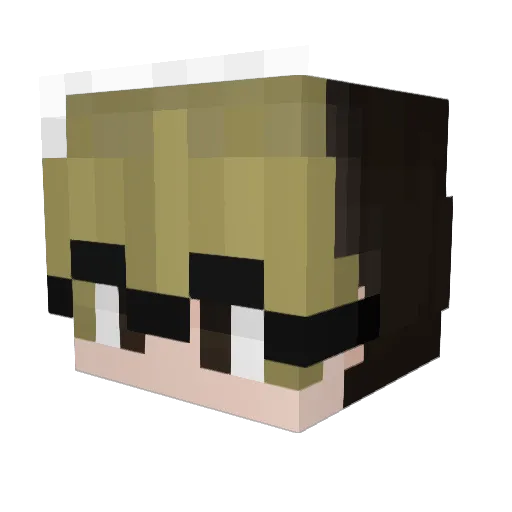 Suitcase__ Minecraft avatar head, 3D render