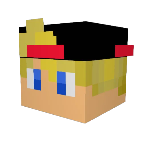 Suje Minecraft avatar head, 3D render