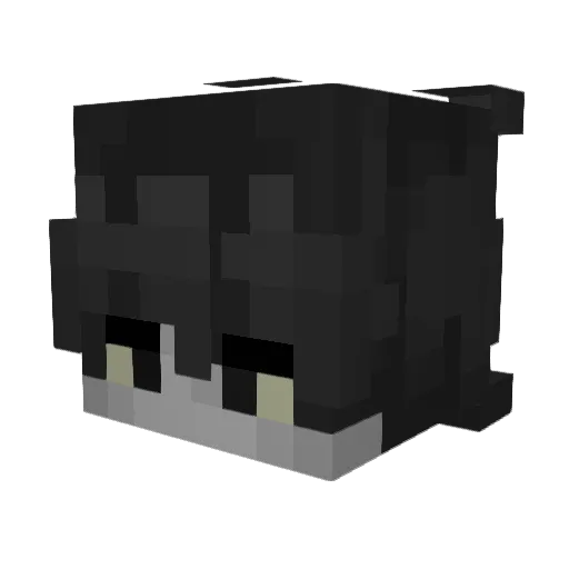 Suka_Hari Minecraft avatar head, 3D render