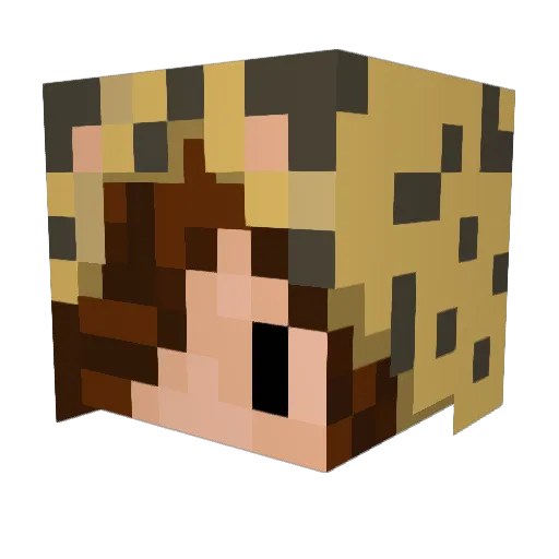 Sukharik Minecraft avatar head, 3D render
