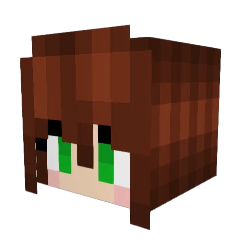 Suki1993 Minecraft avatar head, 3D render