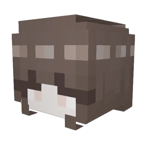 Suki4 Minecraft avatar head, 3D render