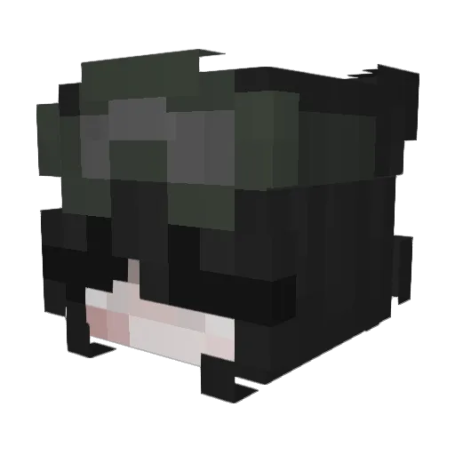 SukiBug Minecraft avatar head, 3D render