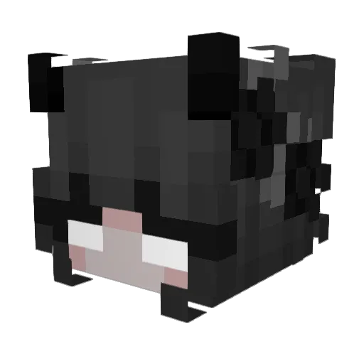Sukkub_ Minecraft avatar head, 3D render