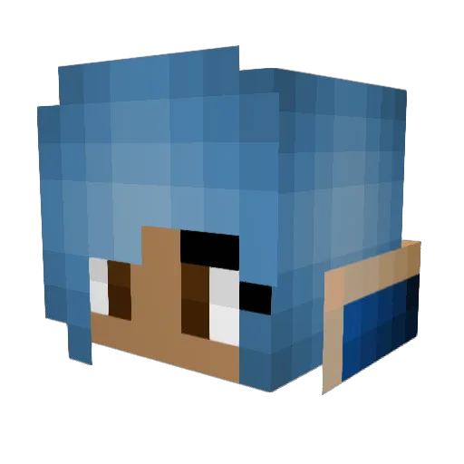 SukoPrica67 Minecraft avatar head, 3D render