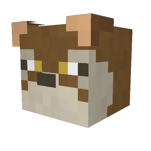 Sukoia Minecraft avatar head, 3D render