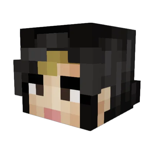 Sukrates Minecraft avatar head, 3D render