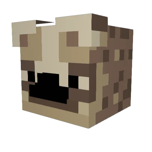 SukrehF1 Minecraft avatar head, 3D render