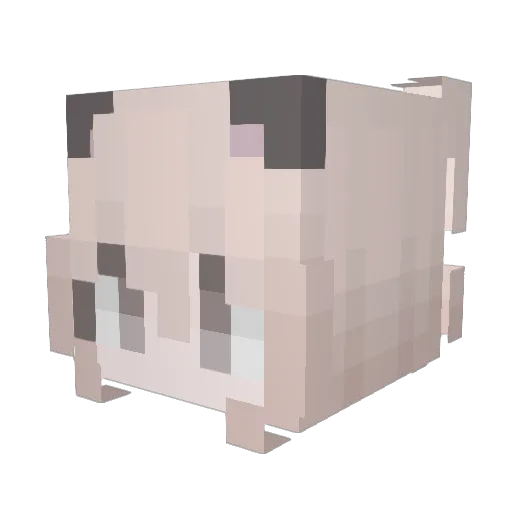 Sukuraa Minecraft avatar head, 3D render