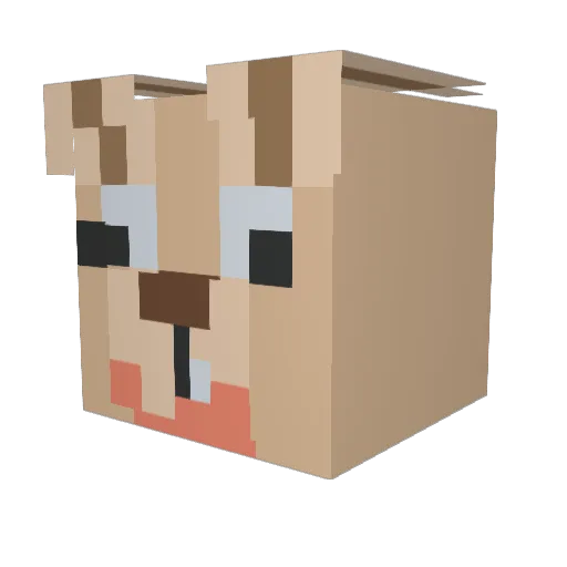 Sukwoon Minecraft avatar head, 3D render