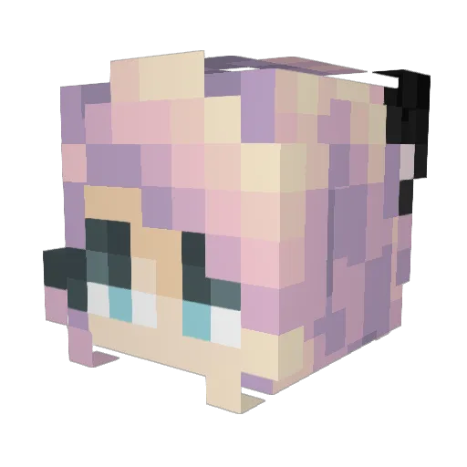 Suky_yt Minecraft avatar head, 3D render