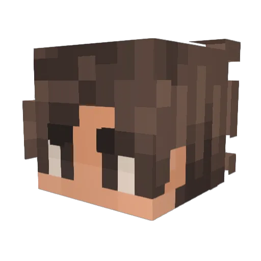 Sul_Sul_Jul Minecraft avatar head, 3D render