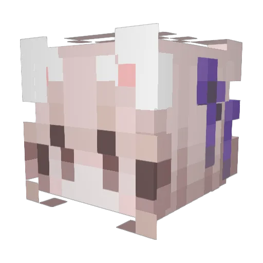 Sul_bek Minecraft avatar head, 3D render