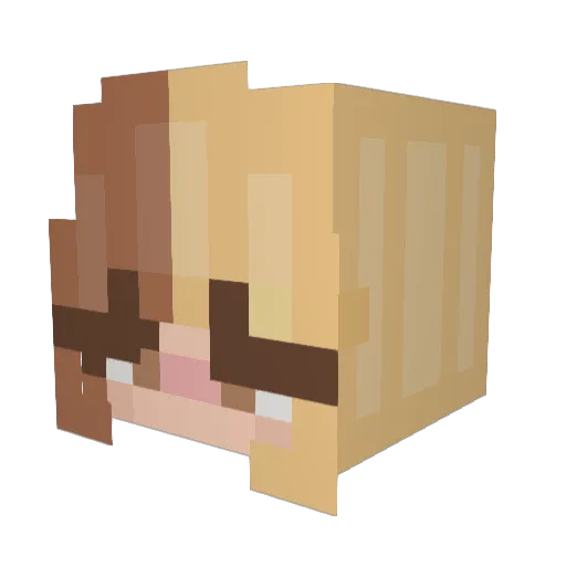 Sulabula Minecraft avatar head, 3D render