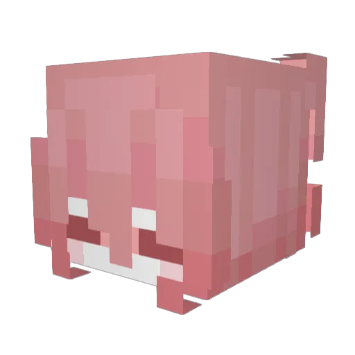 Sulariis Minecraft avatar head, 3D render