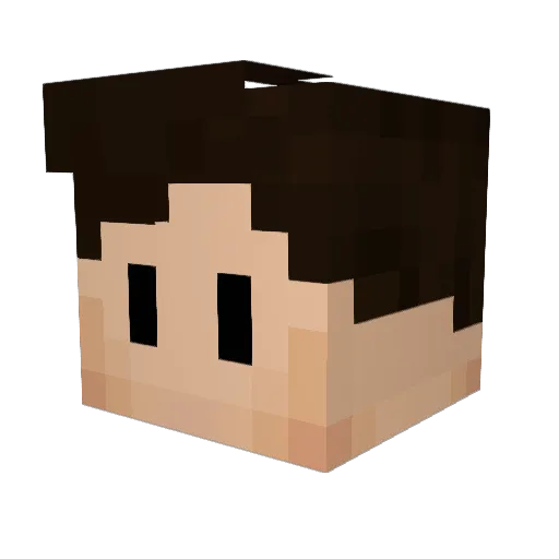 Suleicht Minecraft avatar head, 3D render
