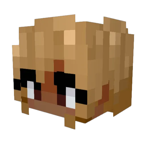 SulfurAnim8s Minecraft avatar head, 3D render